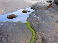 Impression an der Küste bei Austre Nesland - Lofoten